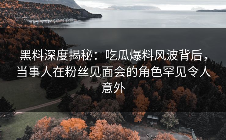 黑料深度揭秘：吃瓜爆料风波背后，当事人在粉丝见面会的角色罕见令人意外