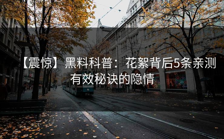 【震惊】黑料科普：花絮背后5条亲测有效秘诀的隐情