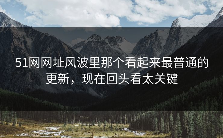 51网网址风波里那个看起来最普通的更新,现在回头看太关键 51网网址风波里那个看起来最普通的更新,现在回头看太关键